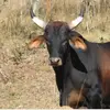 George Handley - @george_handley436 - TikTok