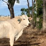 George Handley - @handley_07 - Instagram