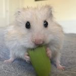 George Hardwick - @george_h09 - Instagram