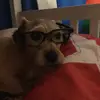 georgehardwick - @georgehardwick6 - TikTok
