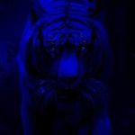 George Harrell - @georgeharrell794 - Instagram