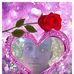 Georg Hertz - Facebook