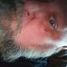 George Hatt - Facebook