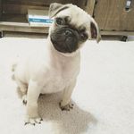 George Harrison Hatten - @georgeharrisonhatten - Instagram