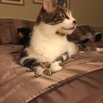 George B. Hatton - @theadventuresofgeorgebhatton - Instagram