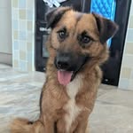 georgehatton - @georgehatton69 - Instagram