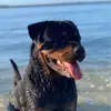 George Hay - @george.hay06 - TikTok