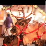 George Heilig - @georgeheilig - Instagram