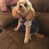 George Hensley - @georgehensley - TikTok