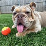 George Hensley Banks - @georgie.h.banks - Instagram