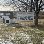 George Hermes - @black_birchfarm - Instagram