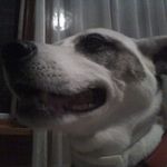 George Hibner - @onlyjava4me - Instagram