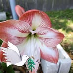 George Raymond Himes - Facebook