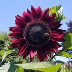 George Hoch - @george.hoch.5 - Instagram