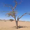 George Hochobeb - @georgehochobeb101 - TikTok