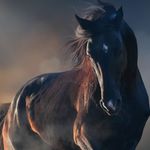 George hofer - @hofer4128 - Instagram
