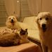 Georges Hoff - Facebook