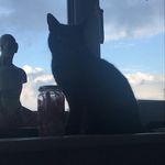George Hopper - @georgehopper13 - Instagram