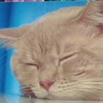 George Horning - @privatehorning5112 - Instagram