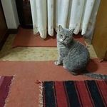Γιώργος Καβαθούλης - @kabathoules_george - Instagram