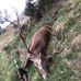 George Hume - Facebook