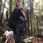 Georgehume - @georgehume243 - Instagram