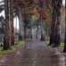 George Imhoff - Facebook