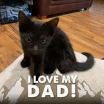 George Isbell - @isbell.george - Instagram