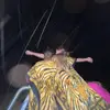 ivygeorgee - @ivygeorgee - TikTok