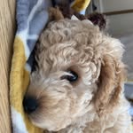 Bailey George Jagger - @baileygeorgejagger - Instagram