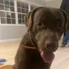 Jaime George - @jaime.george - TikTok