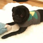 George Jang - @georgejang7 - Instagram