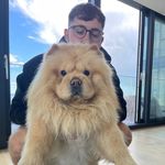 George jason - @jasongeorgefx - Instagram