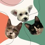 𝙶𝚎𝚘𝚛𝚐𝚎, 𝙹𝚊𝚜𝚙𝚎𝚛 & 𝙰𝚛𝚢𝚊 - @thelittletrio___ - Instagram