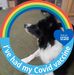 George Johnstone - Facebook