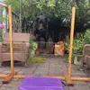 George the jumping lab! - @george.jumps - TikTok
