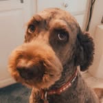 George & Juniper | NC - @georgeandjuniper - Instagram