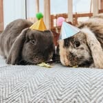 Georgie & Juniper - @georgieandjuniper - Instagram