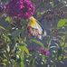 George Kee - Facebook