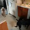 George Keltz - @george.keltz - TikTok