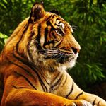 George Kinder - @toa337ajb597tnm - Instagram