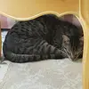 George Kircher - @george.kircher5 - TikTok