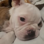 George Kitchen - @george_kitchen88 - Instagram