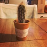 George Kite - @george_kite_main - Instagram