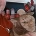 George Knutson - Facebook