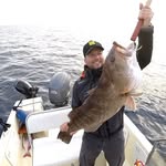 George Kottaras - @kottarasg - Instagram