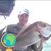 George Kratsas - Facebook