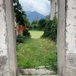 George Kroll - @kroll.george - Instagram