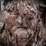 George Kroll - @gkroll_pics - Instagram