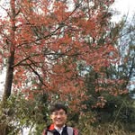 WK Kwong - @kwonggeorge - Instagram